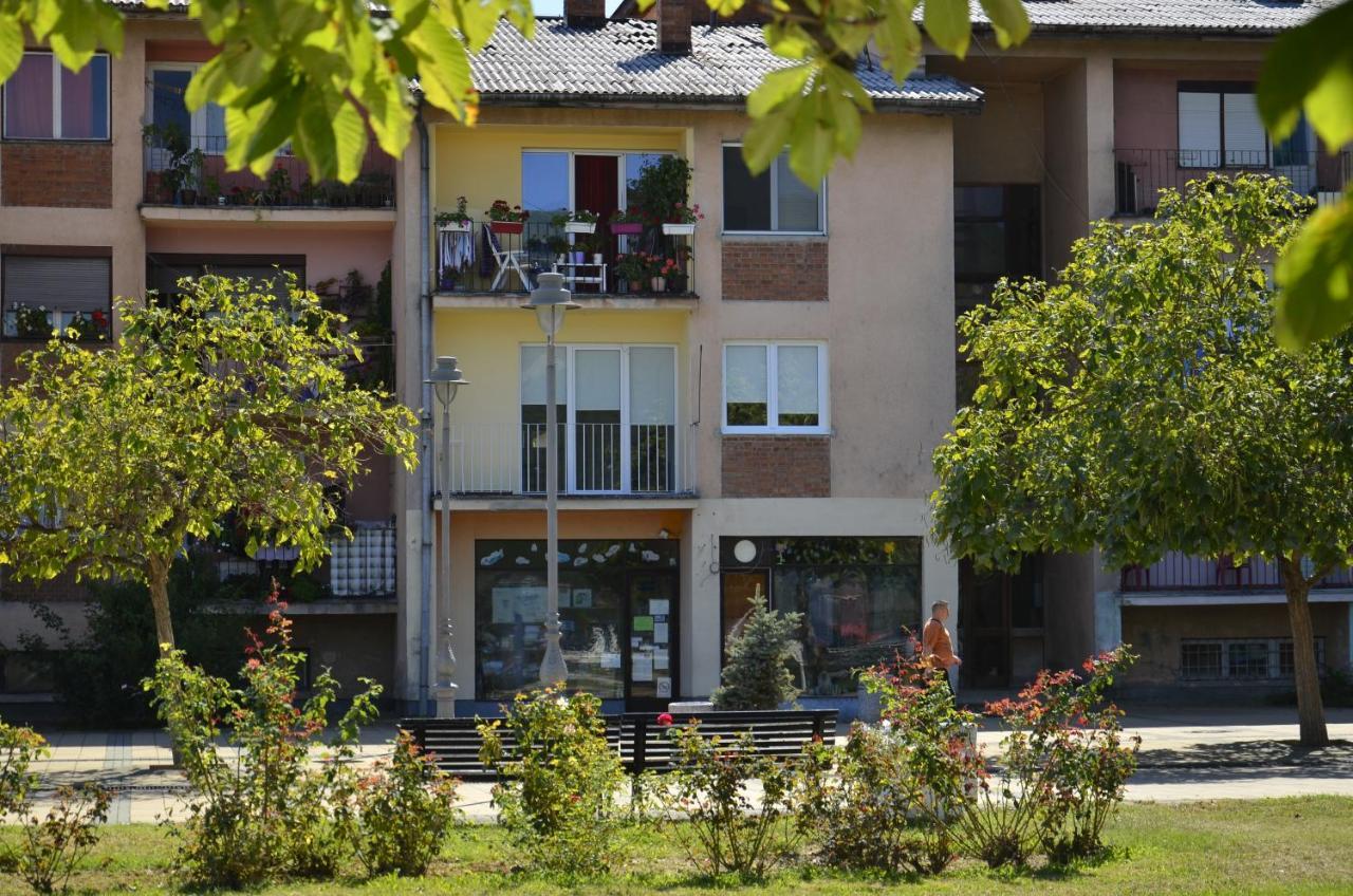 דונג'י מלינובאץ' Apartman Terassa מראה חיצוני תמונה